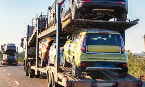 roadrunner-auto-transport_Shutterstock_Radislava-Olshevskaya